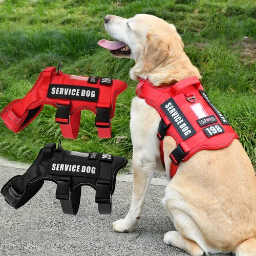 Service Dog Vest with Dog Patches