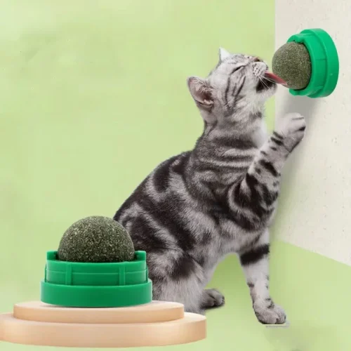Catnip