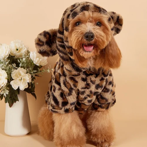 Pet Hoodie
