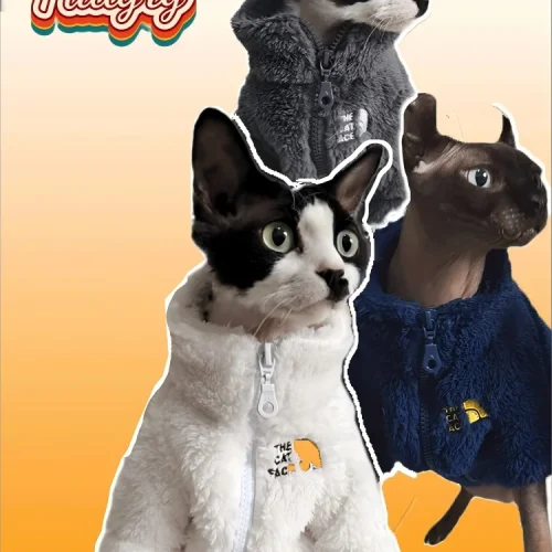 Winter pet dog dog cat coat cold