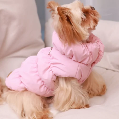 Dog Jacket For Autumn/Winter,